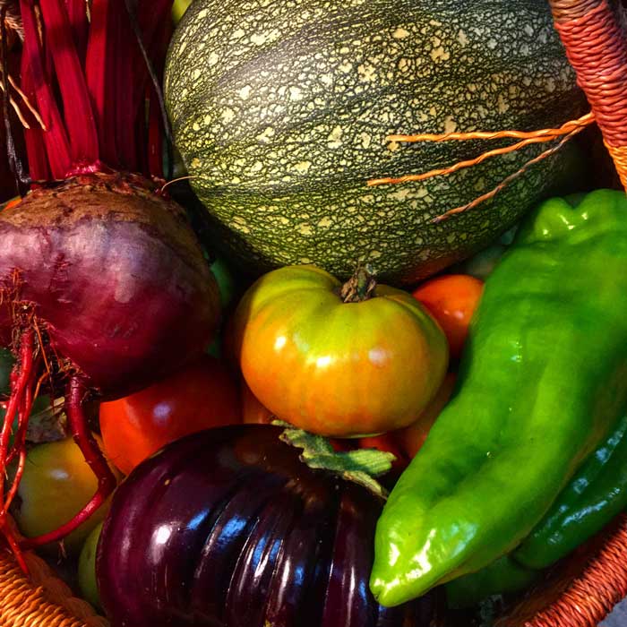 More ugly non-uniform heirloom fruits and veggies picked from our garden at the peak of ripeness and grown in rich, living soil teeming with microbes!