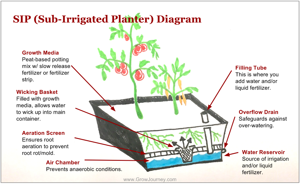 Sub-irrigated%20planter%20diagram.png