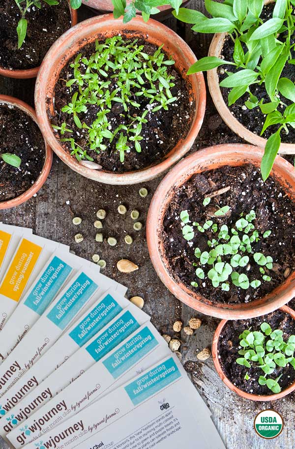 growjourney - seeds of the month club - gardening gift subscriptions