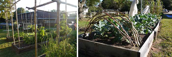 Raised bed gardens at a nearby community garden. Community gardens are a great way to meet other gardeners and learn, but if you have the space you should also garden in your own yard (or patio).