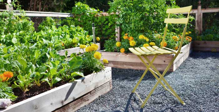 You can make raised beds or buy raised beds in a wide range of shapes, sizes, and materials.