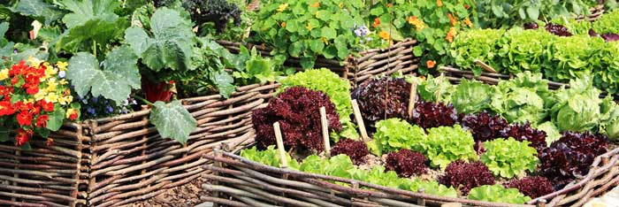 For people who want to put raised beds made of fabric grow bag material in their front yards in full view, one popular option is to put wattle fencing around it - or even easier, wrap the bed in burlap.