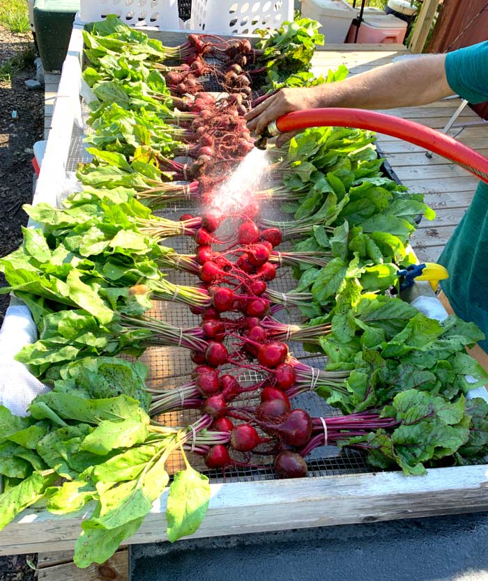 Small farm series intro what is a small regenerative farm? GrowJourney